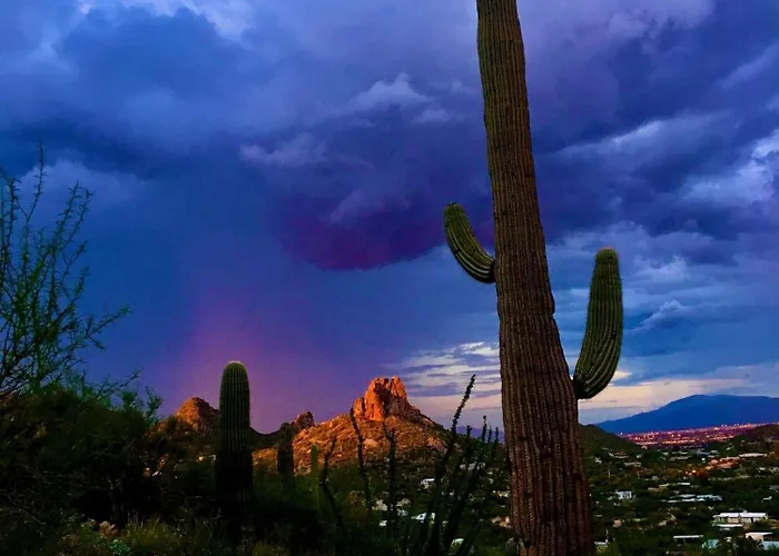 Blackfoot Two San Tan Valley
